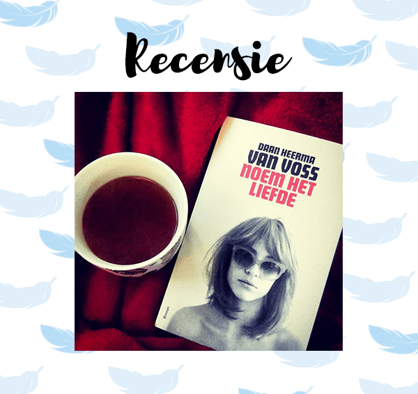 Recensie: Noem het liefde – Daan Heerma van Voss