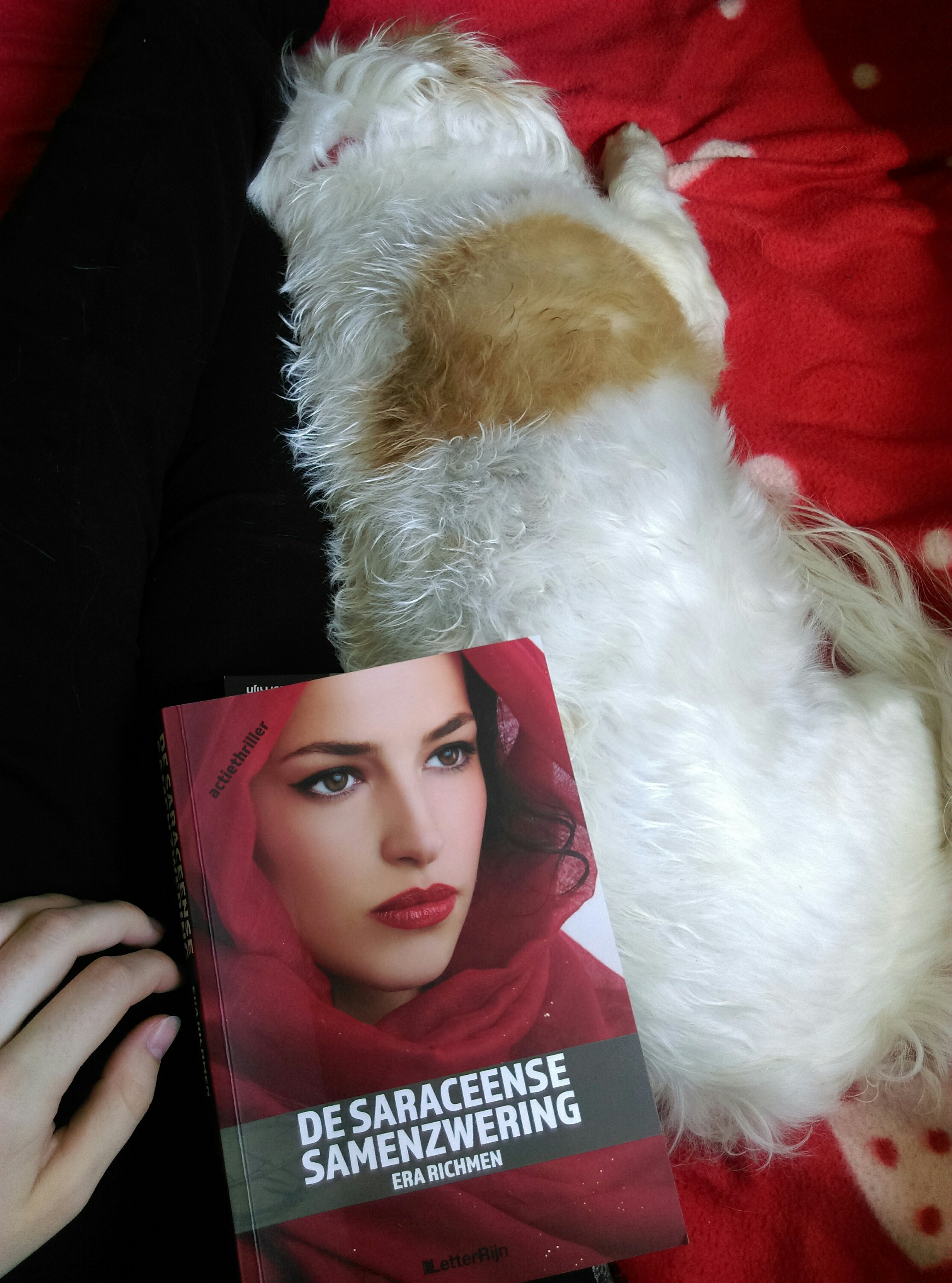 Lezen