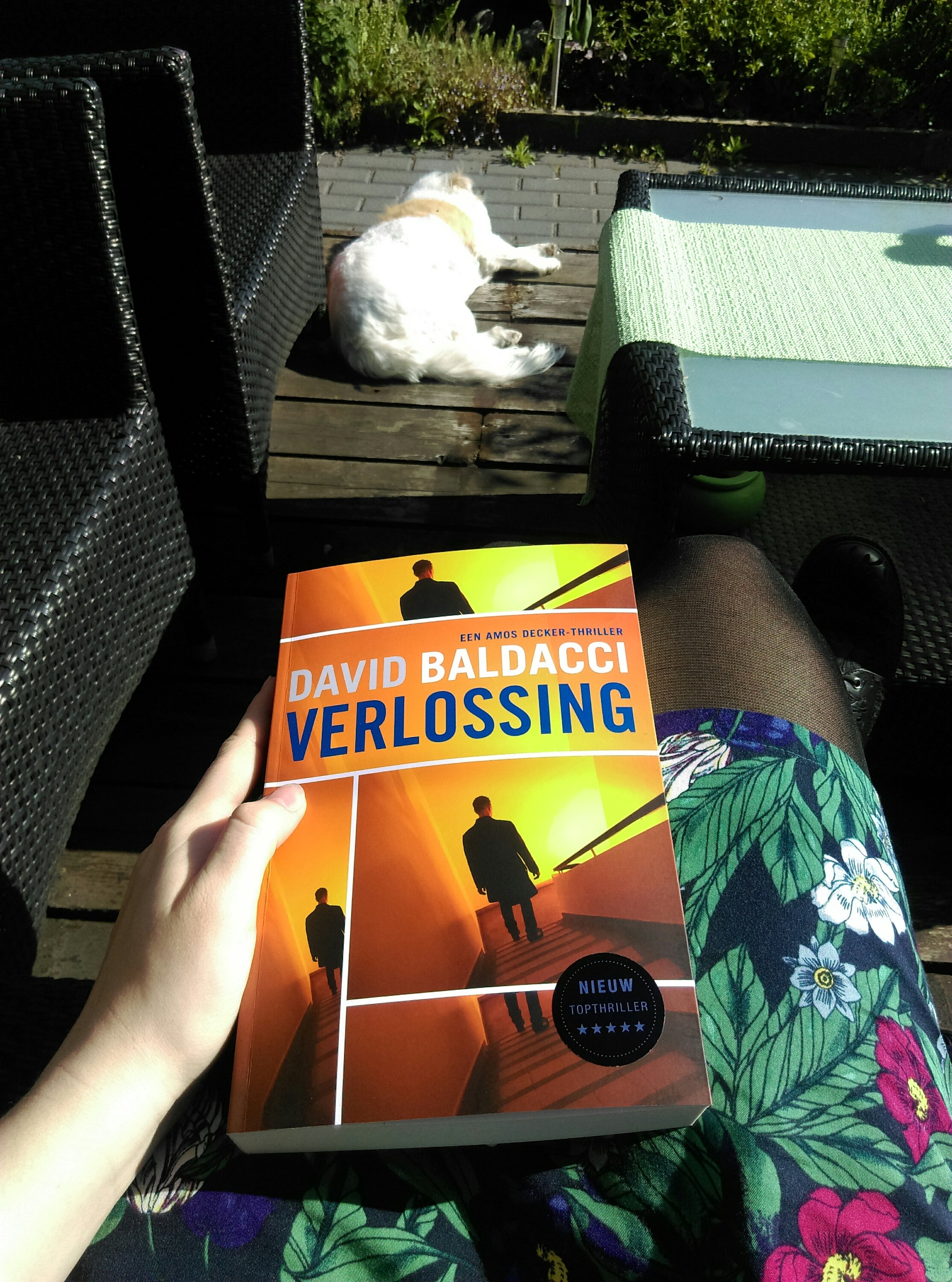 Lezen in de zon 