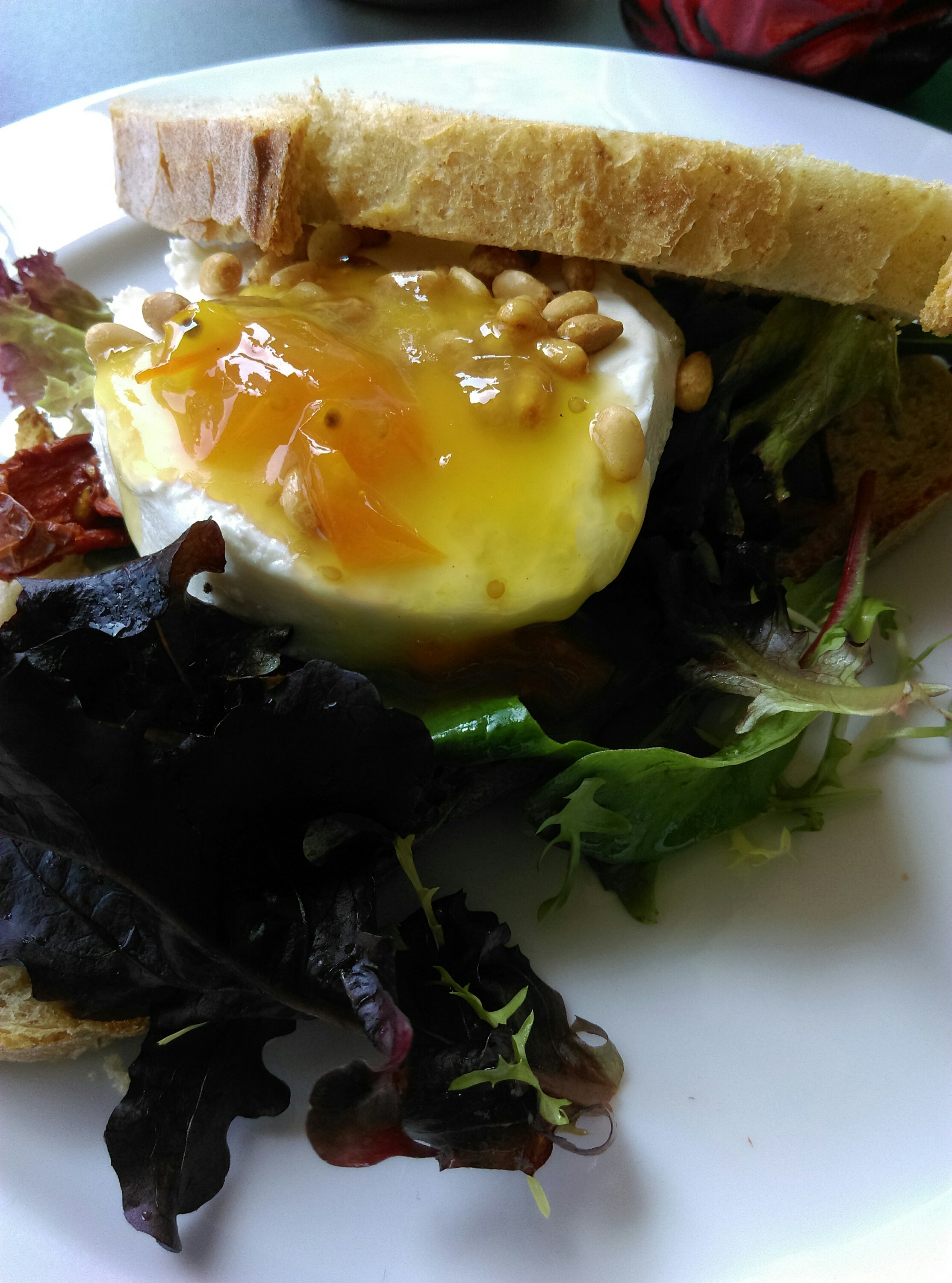 Lunch