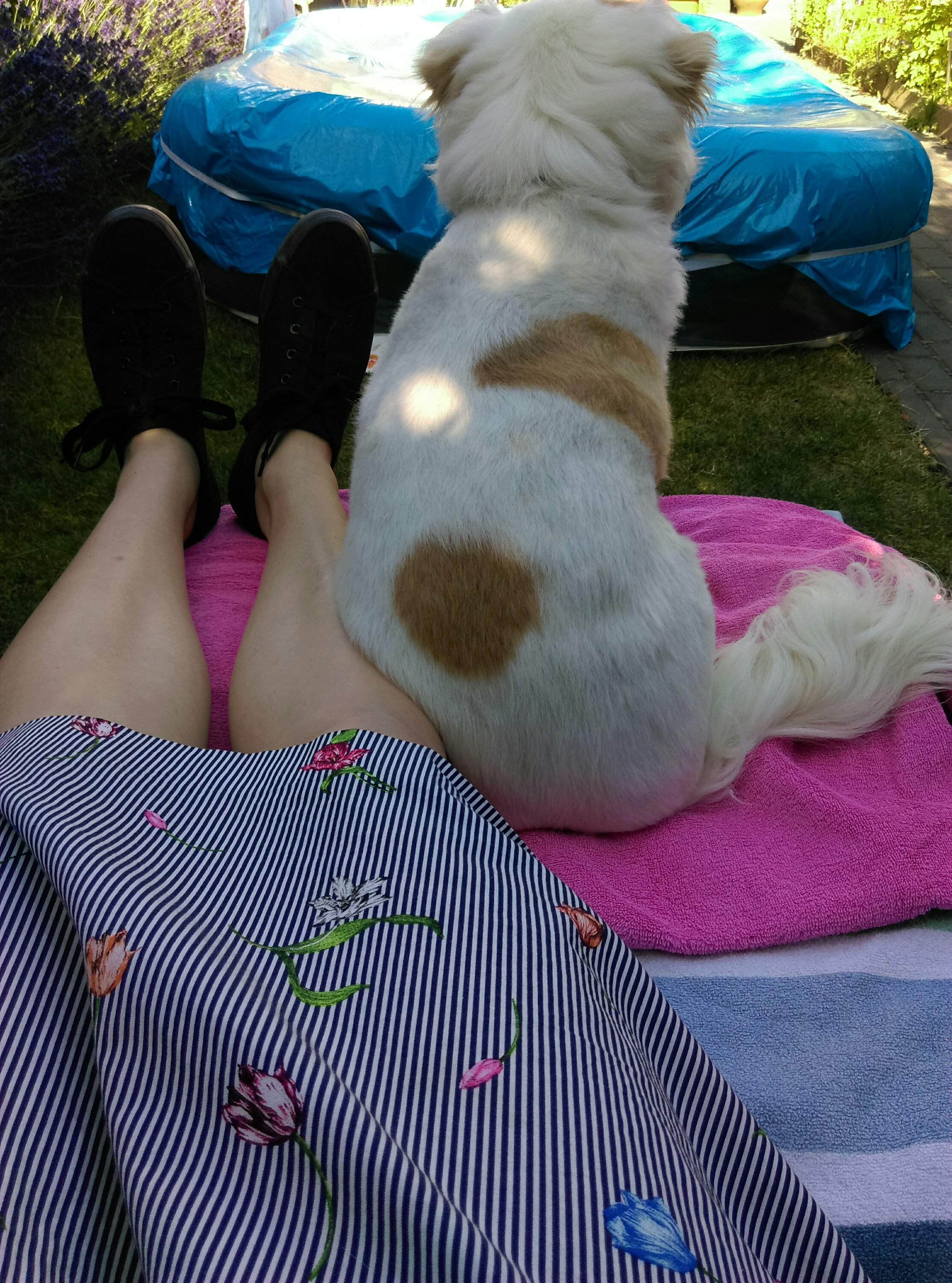Liggen