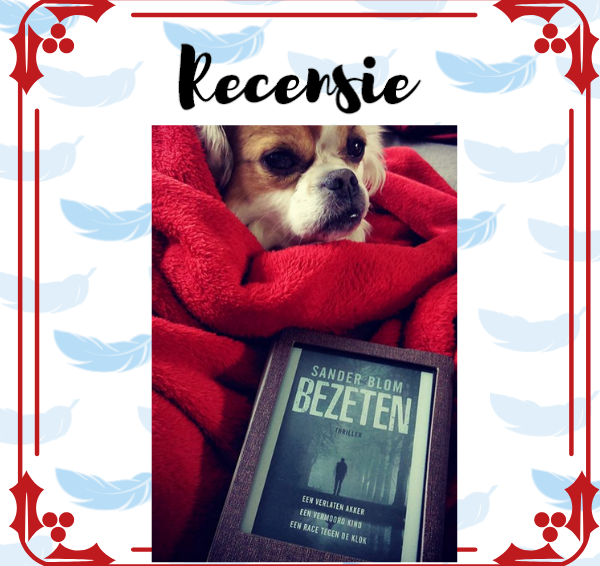 Recensie: Bezeten – Sander Blom