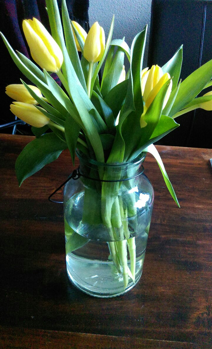 Tulpen