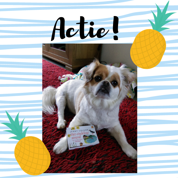 Actie zomer dwarsligger