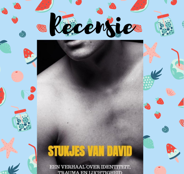 Recensie: Stukjes van David – Joris Hoekstra