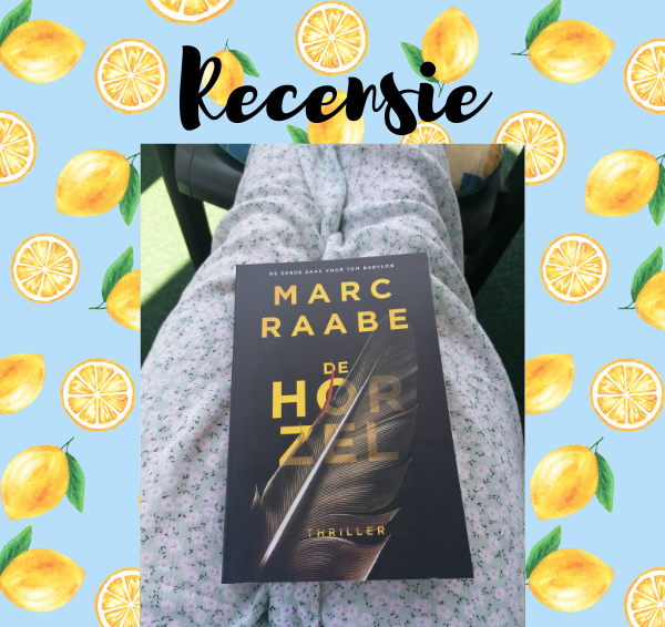 Recensie: De horzel – Marc Raabe