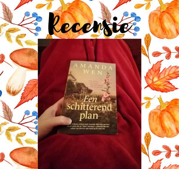 Recensie: Een schitterend plan – Amanda Wen