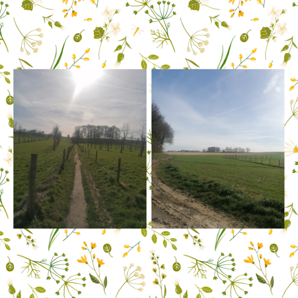 Lange wandeling